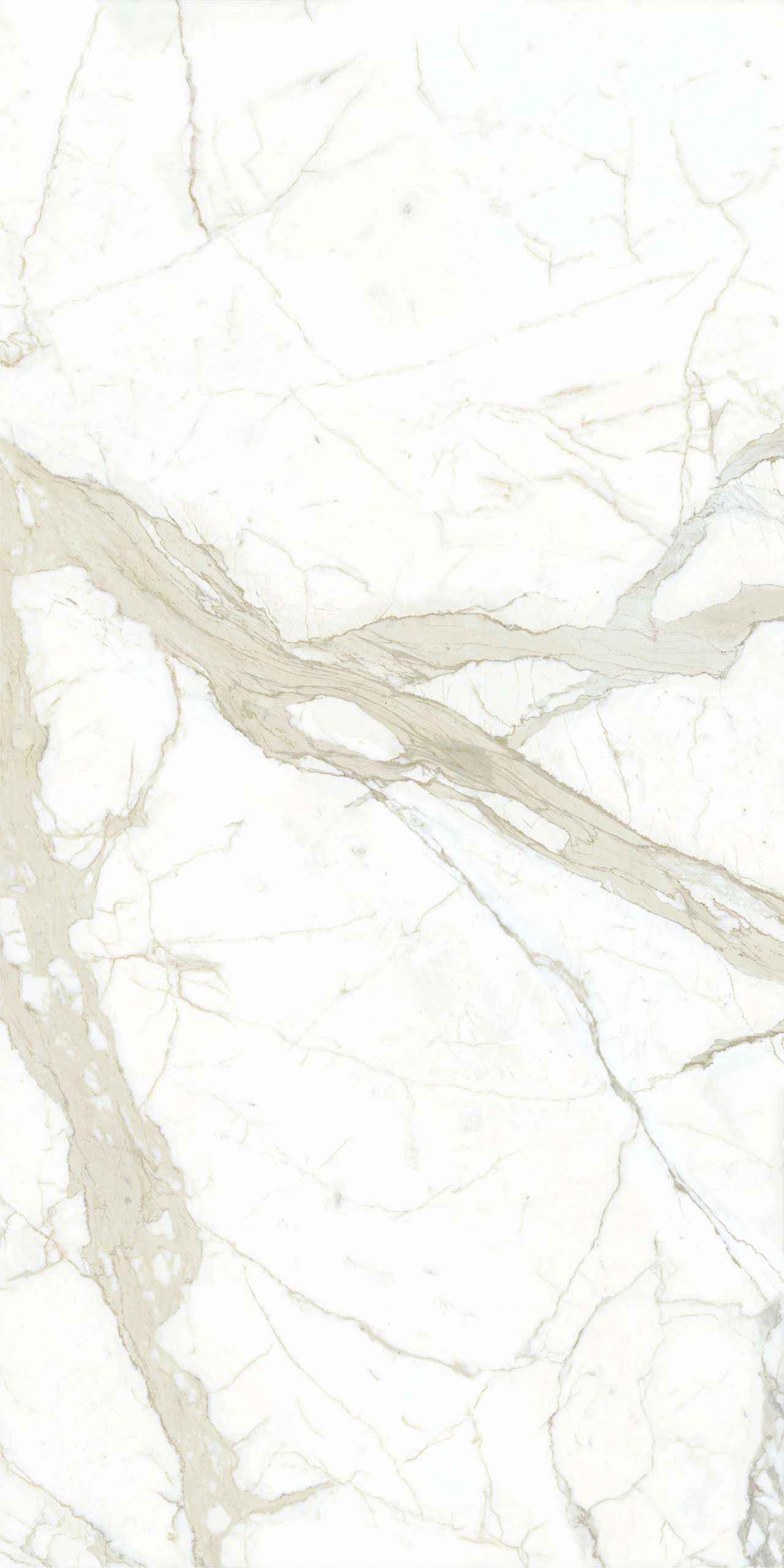 L315332MF6 Calacatta White Lucido 150x300 IRIS FMG