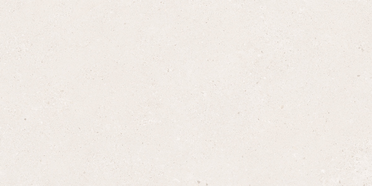 N20642 Stone Bottega Blanco Matt 60x120 Neodom фото 2