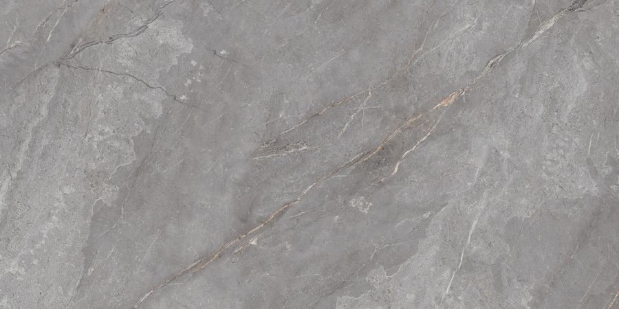 N20484 Orobico Grey Polished 60x120 Neodom