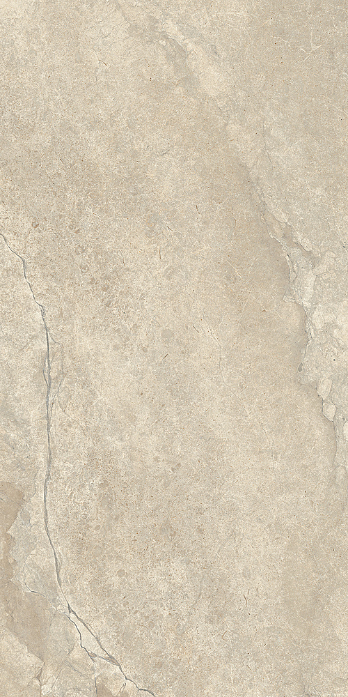 LGXAL25 Anthology 02 Desert Nat. RT 9.5mm 60x120 Lea Ceramiche