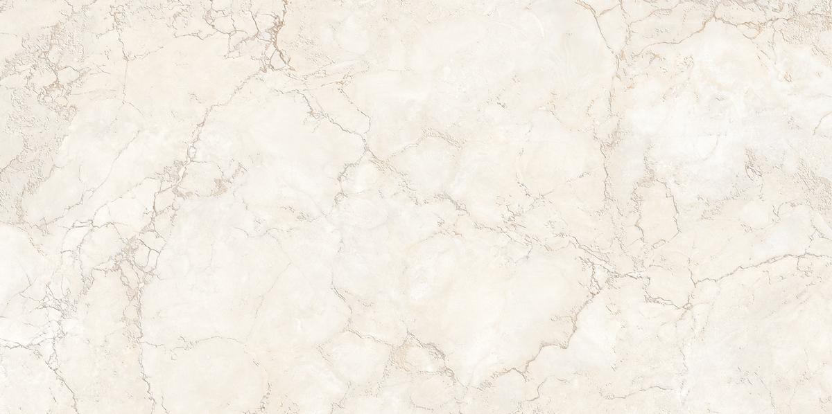 N120041 Трентино Аллюр Декор Матовая 60x120 Neodom фото 3