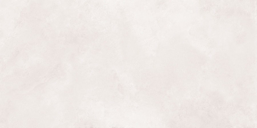 N20479 Newport White Matt 60x120 Neodom