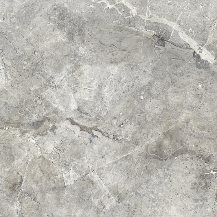 PR123 Mezza Grey Polished 600x600 PrimaVera