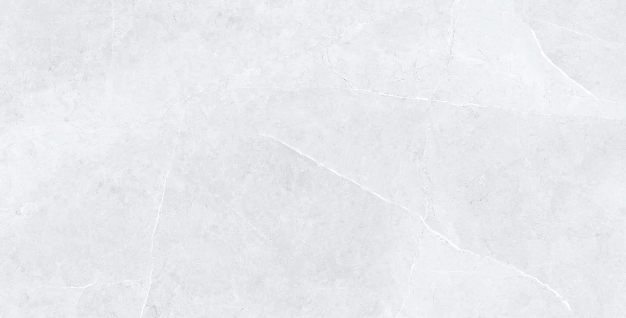 Swindon Grey Polished 60x120 Usak Seramik