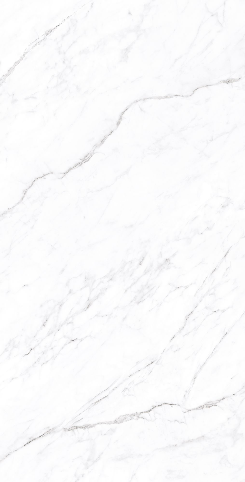 CP4003-A Coralina White Carving Pro 60x120 Arcadia Ceramica