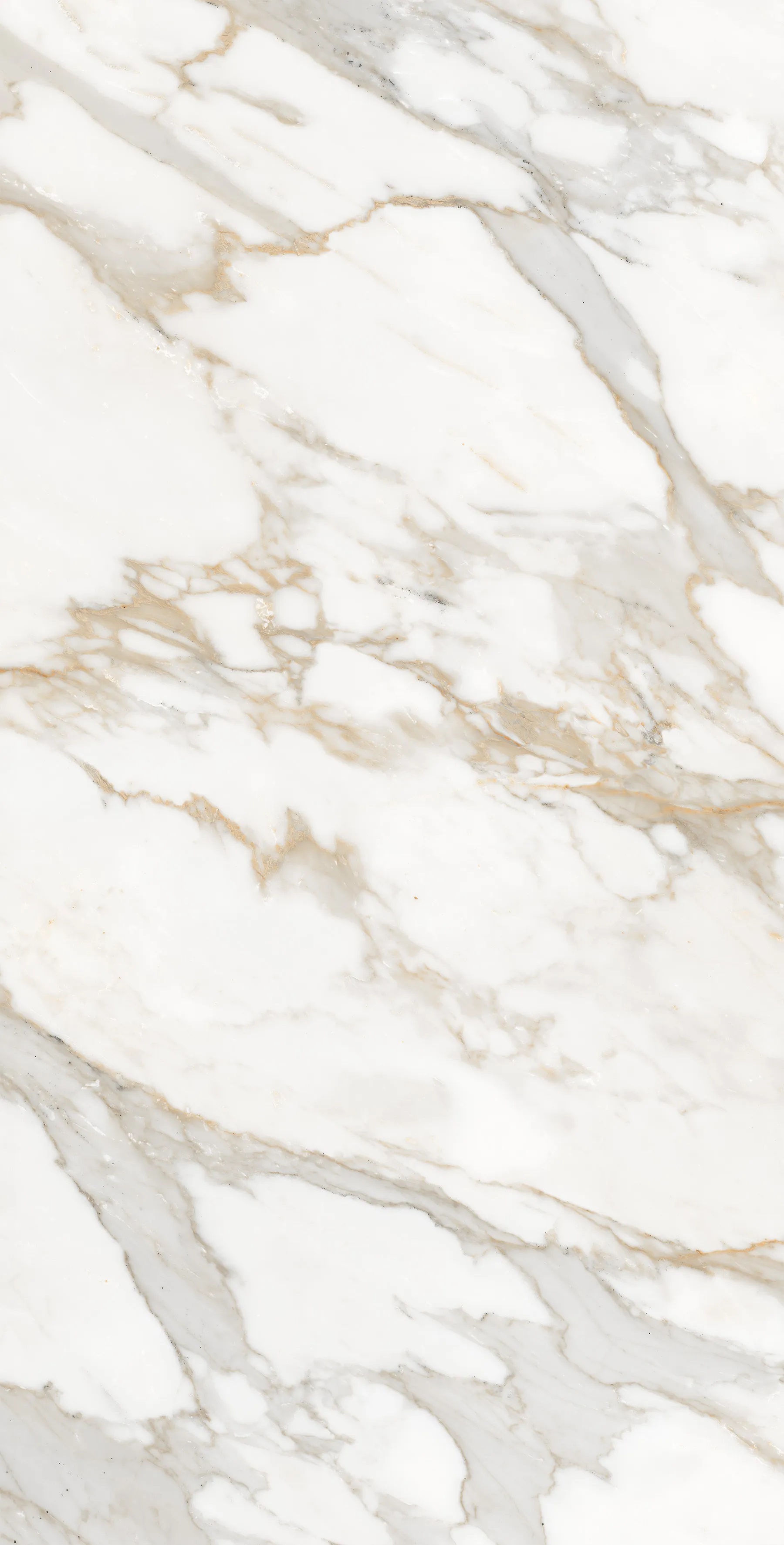 FP1006-A Calacatta Oro 60x120 Arcadia Ceramica фото 6