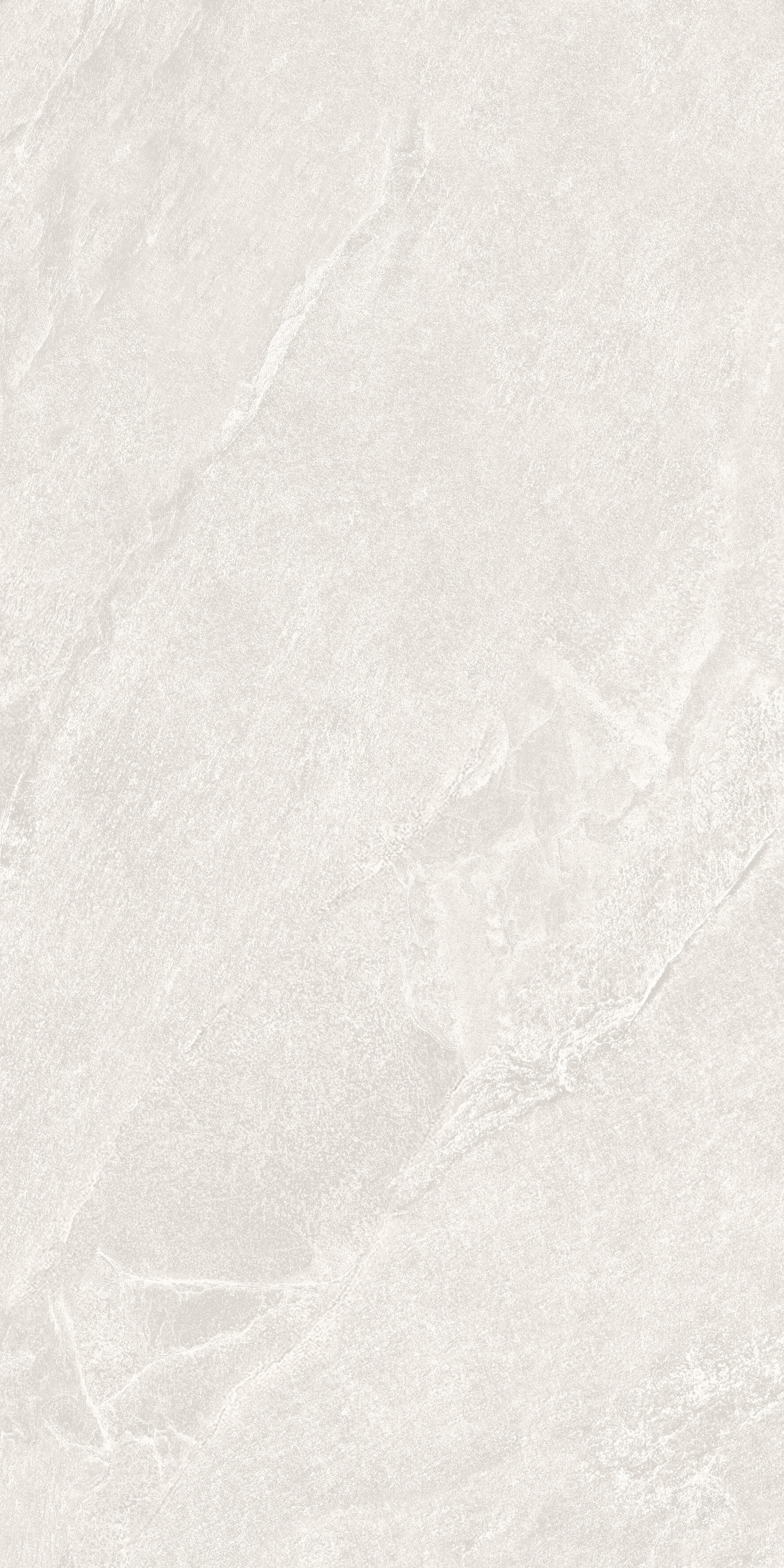 1206 Calcare White Matt 120x60 Artcer фото 5