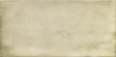 PT02254 Treviso Blanco 10х20 Mainzu