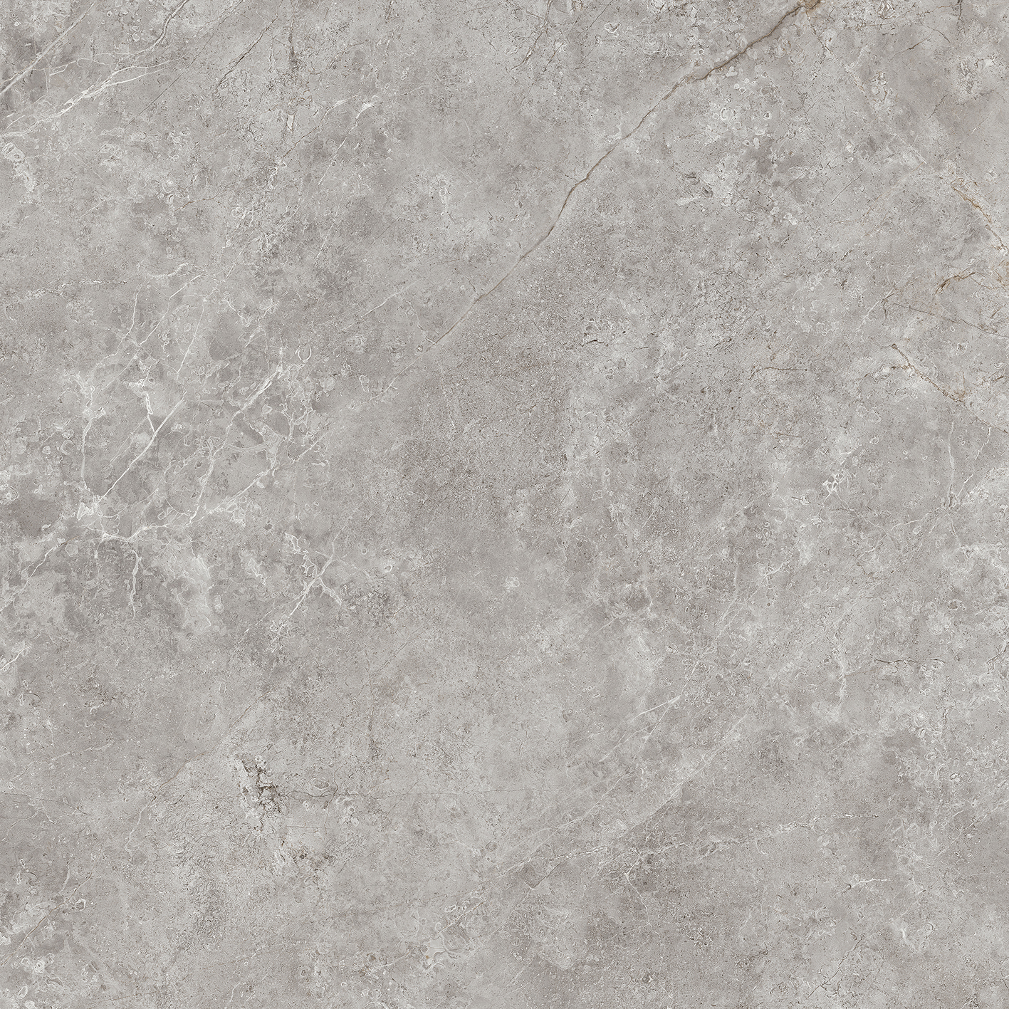 100331094 Fiori Di Bosco Polished 120x120 Urbatek фото 5