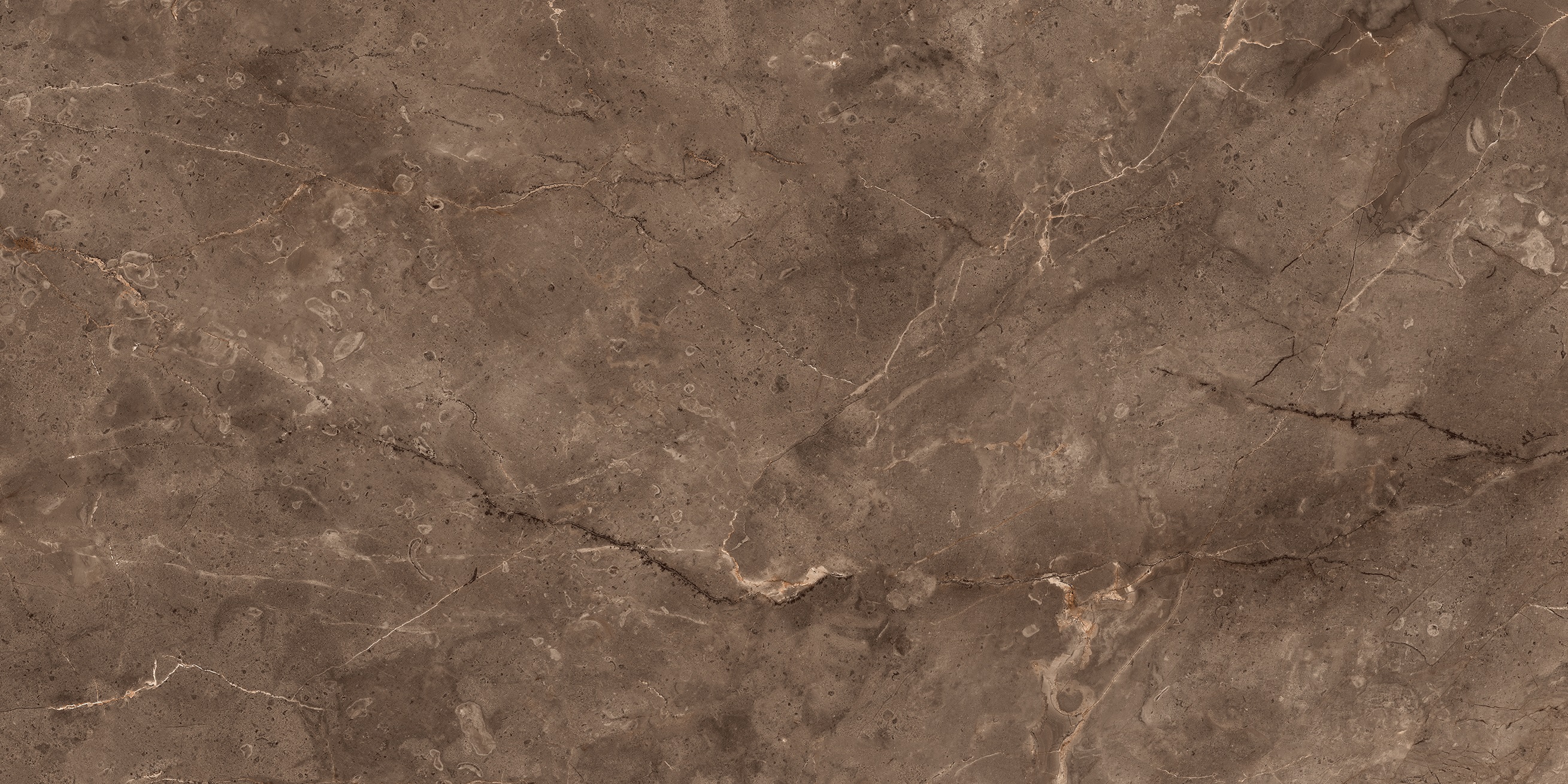 Paradiso Coco Glossy 600x1200 Varmora Granito