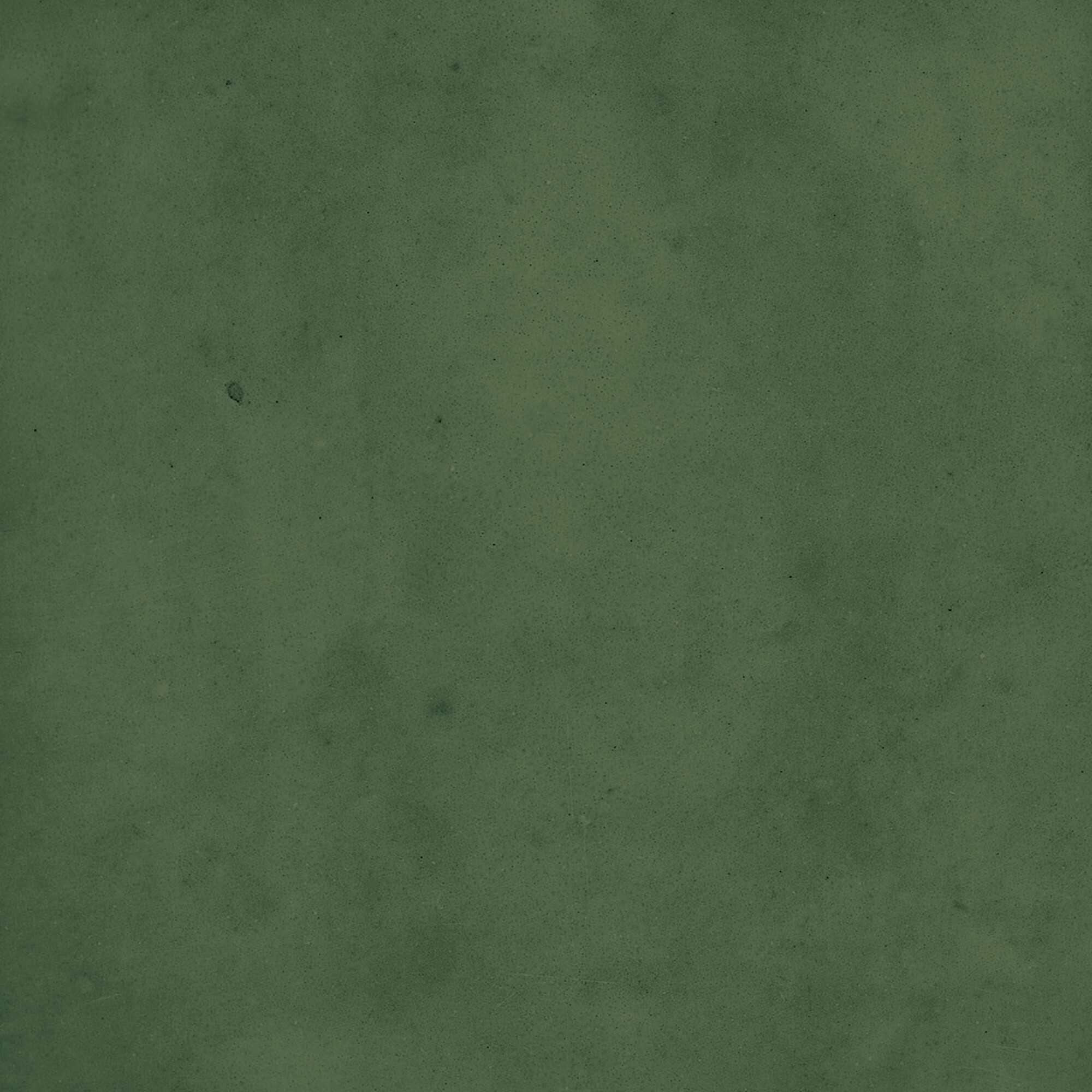 43289 Samira Green 10x10 Harmony фото 36