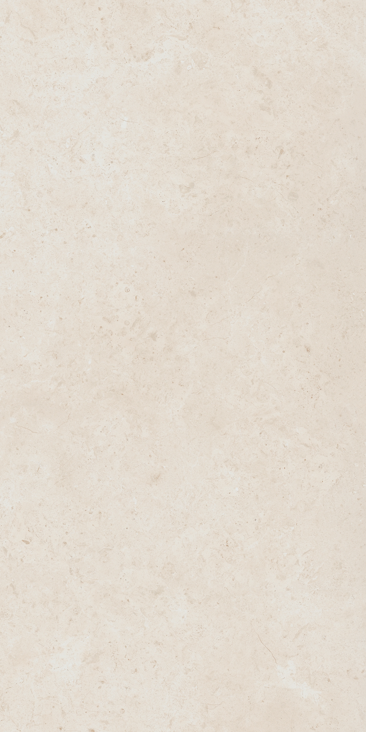 610010004097 Fossil Pure Nat Ret 60x120 Italon
