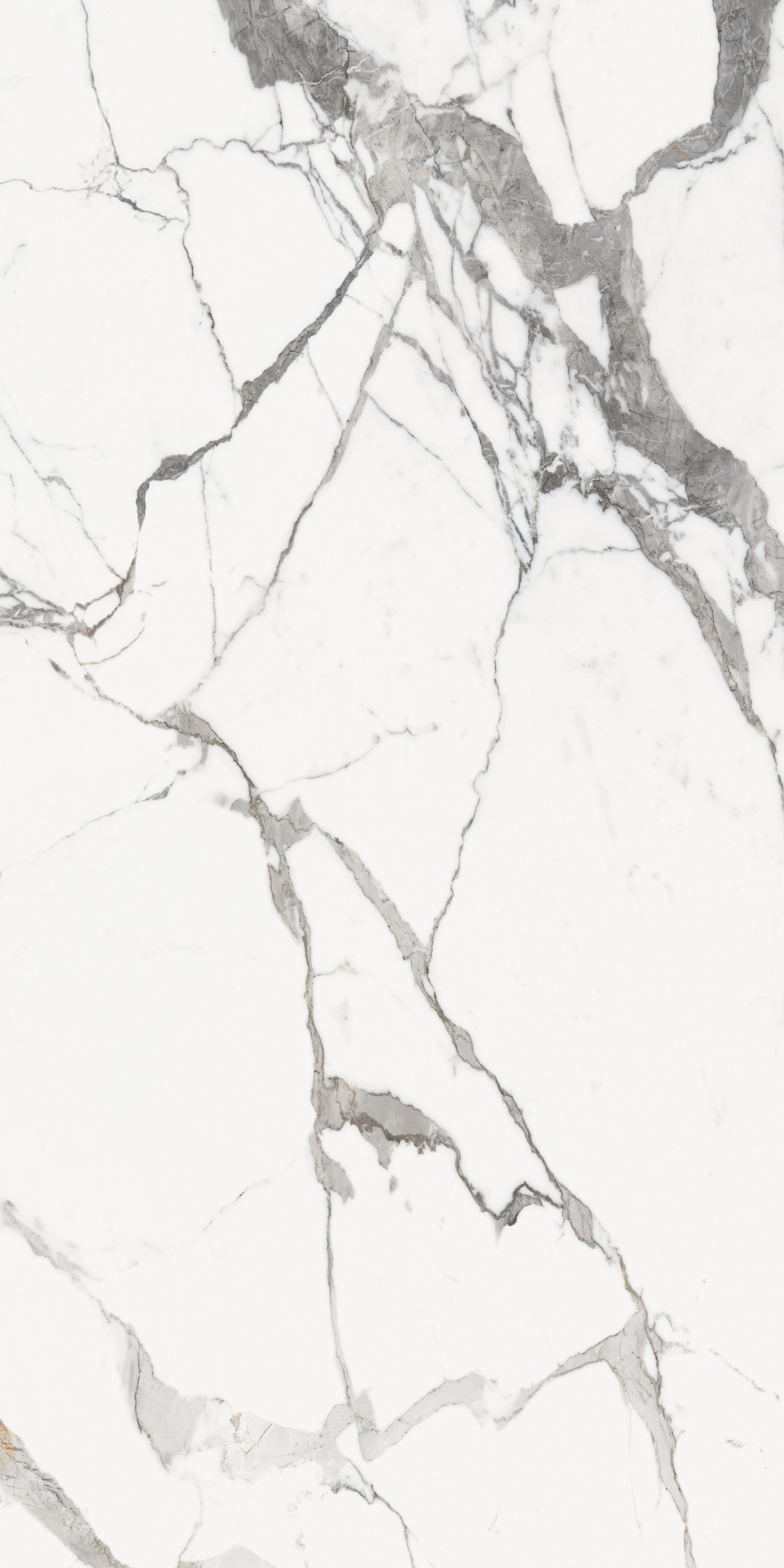 769970 Les Origines Or Glossy R 6mm 120x240 Rex Ceramiche