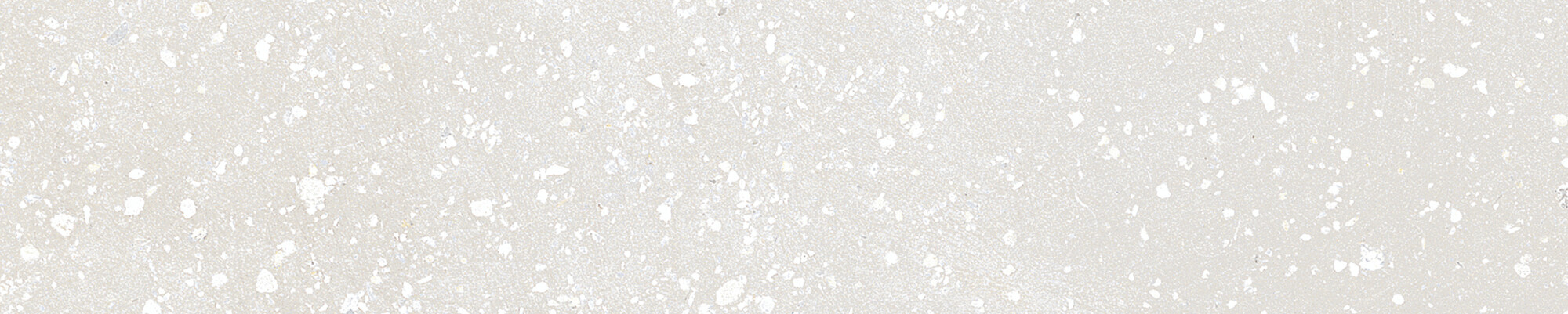 42879 Trace White Plain 6x30 Harmony фото 38