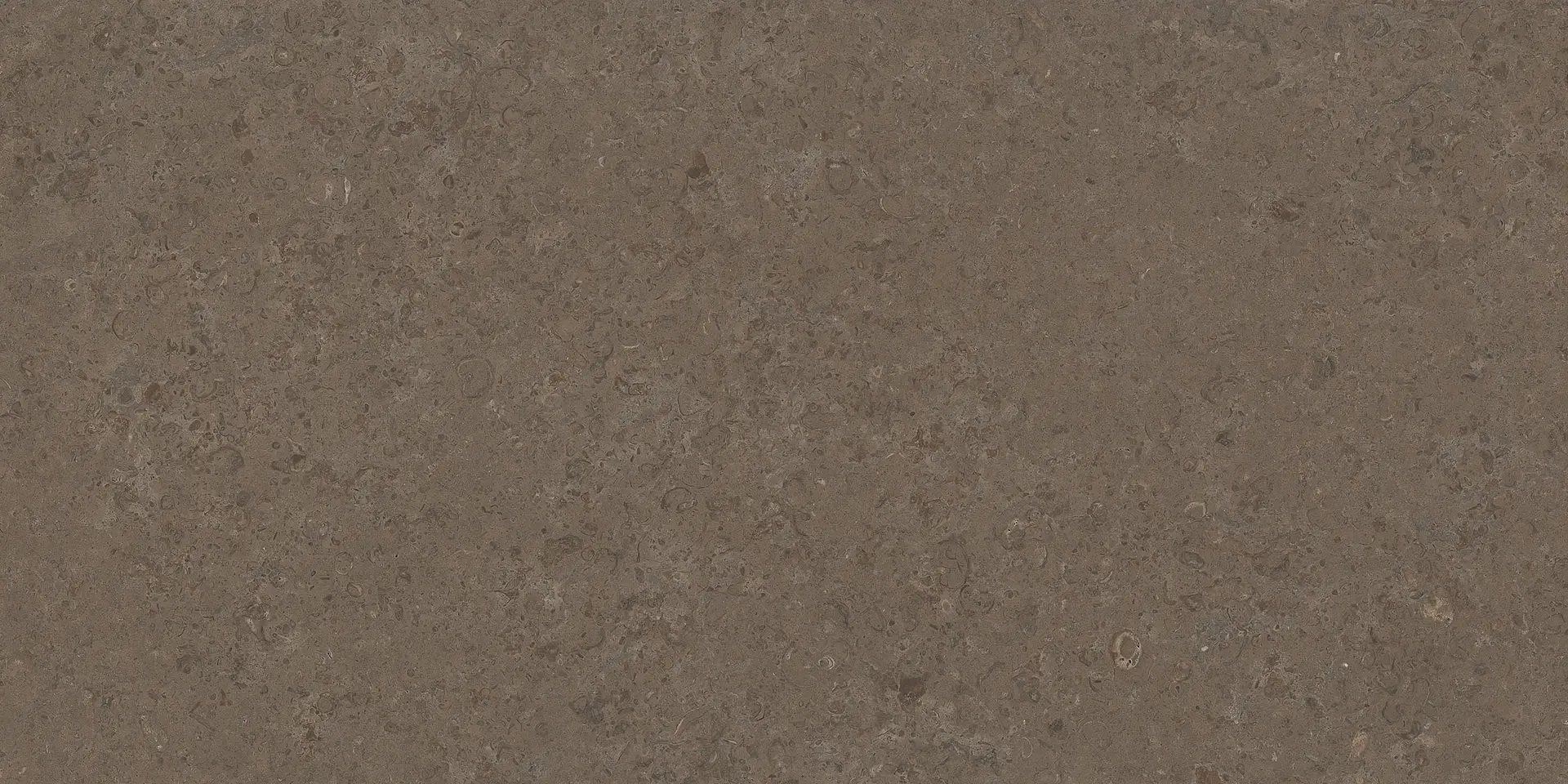 PF60020226 V Stone Brown Lap Rett 8.5mm 60x120 Versace (Gardenia Orchidea) фото 2
