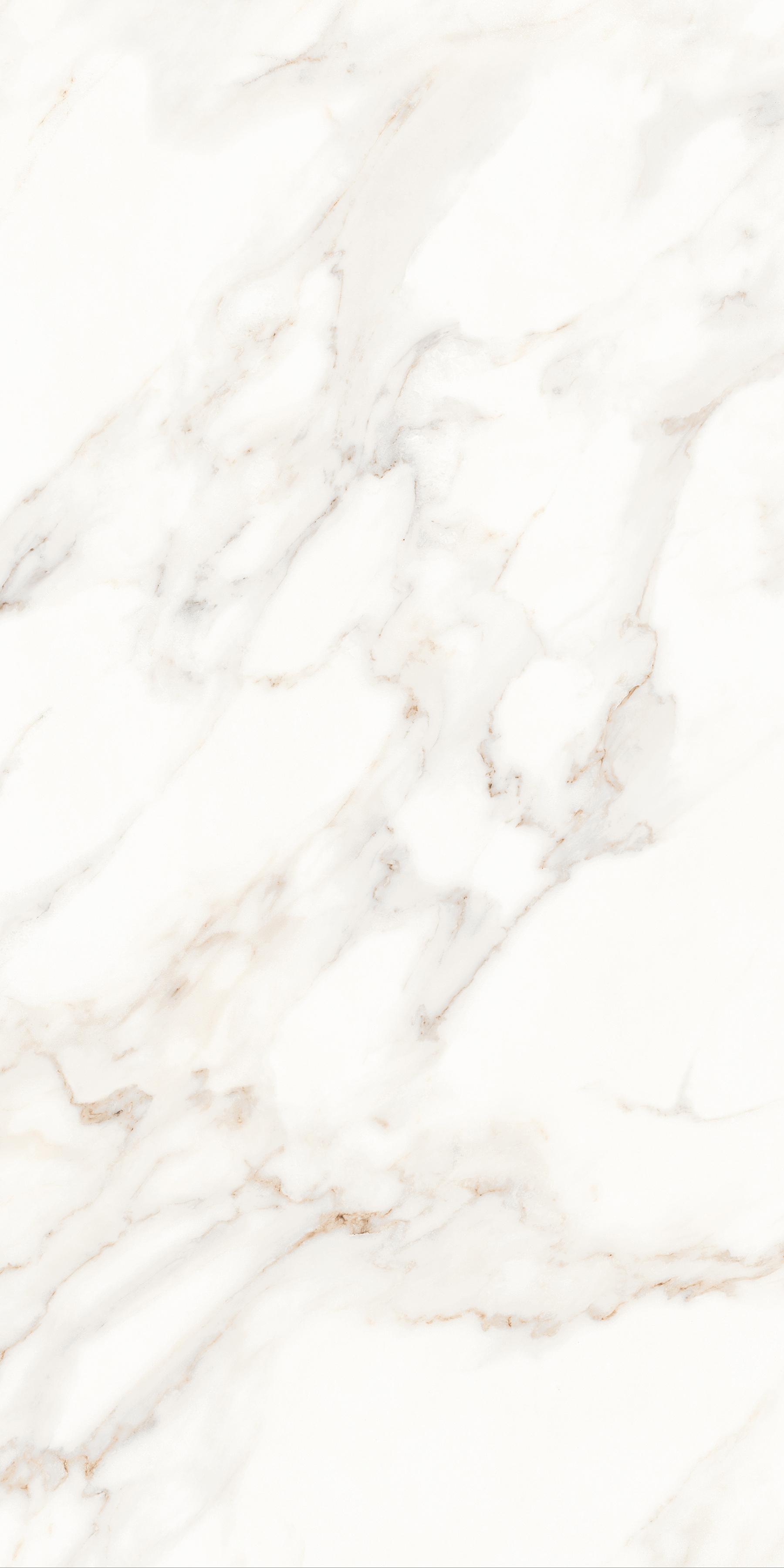 MPL-058623 Calacatta Polished 60x120 Creto