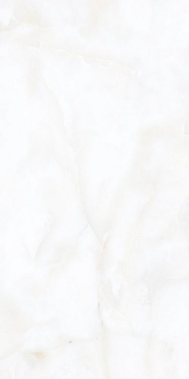 Nikita White Pol 60x120 Alpas Euro фото 5