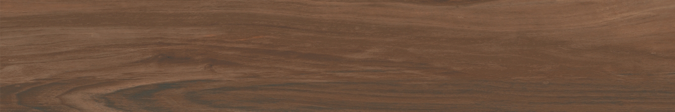 Boutonne Cognac Pulido R 20x120 Baldocer