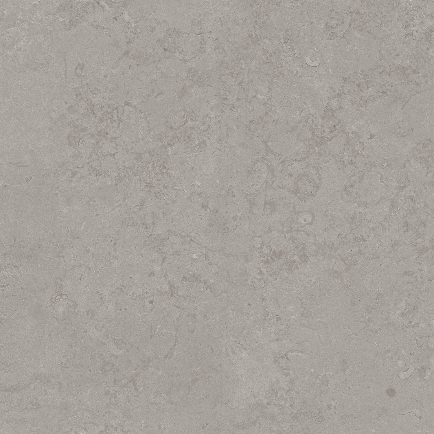 DD640900R Про Лаймстоун серый натуральный обрезной R10 60х60 Kerama Marazzi