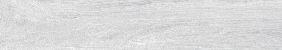ENWD1024MT20120 Foresta Bianco Matt 120x20x0.9 Ennface