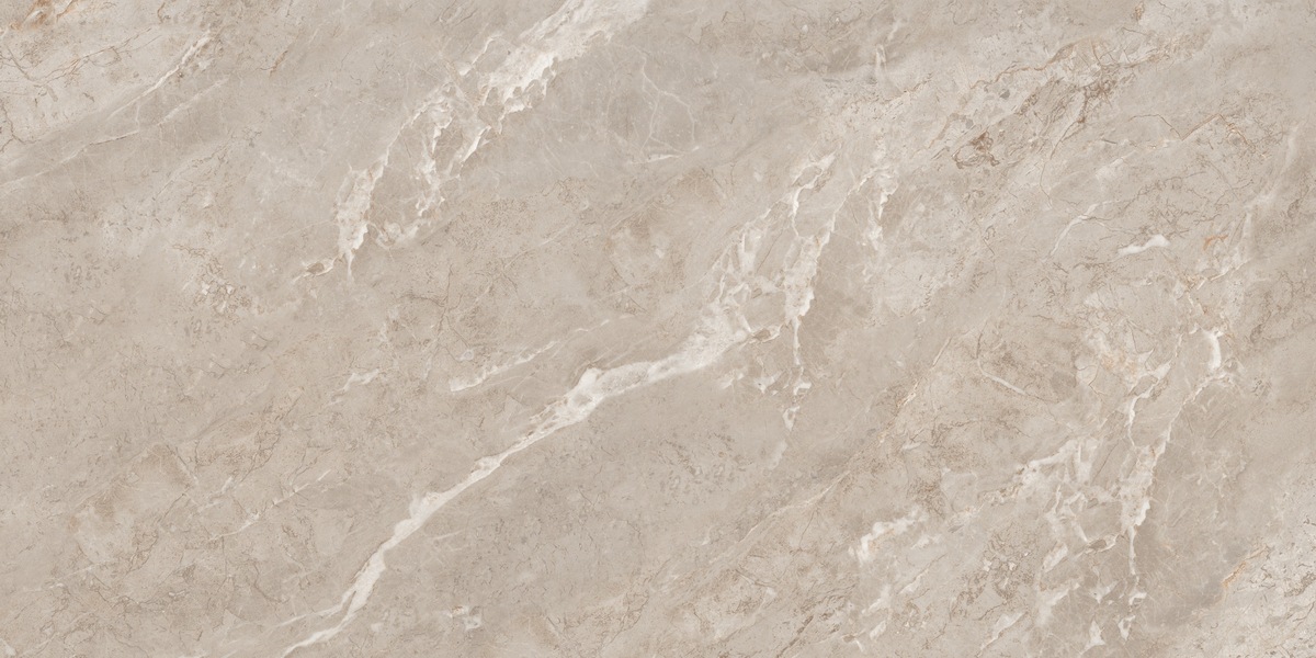 N20767 Rome Taupe Polished 60x120 Neodom