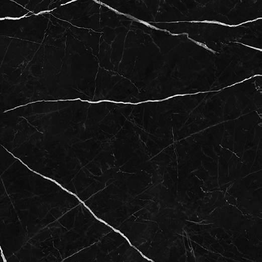 NR119 Ross Black 60x60 PrimaVera