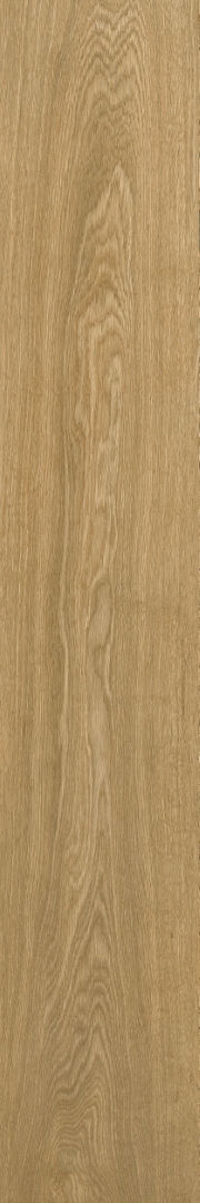 610010003503 Ducale Nut Ret 20х120 ColiseumGres