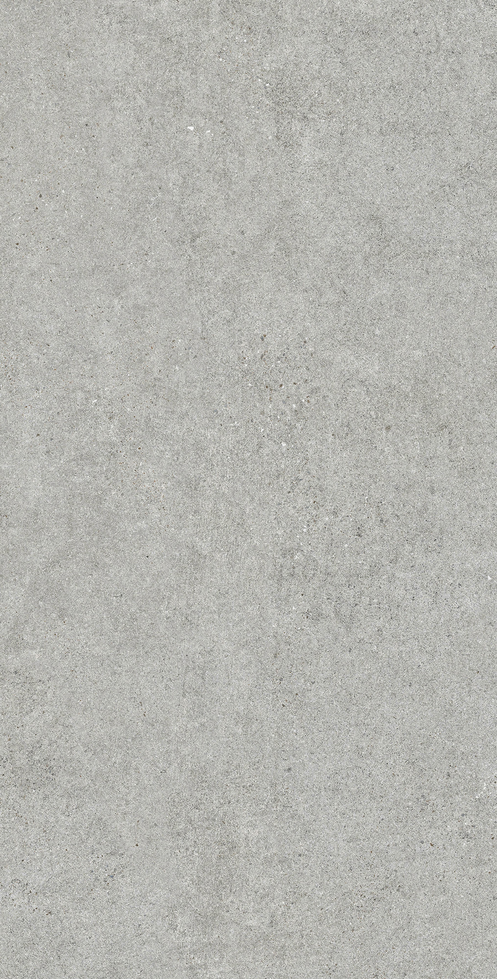 EV1001-A Bottega Acero Evan 60x120 Creanza фото 4