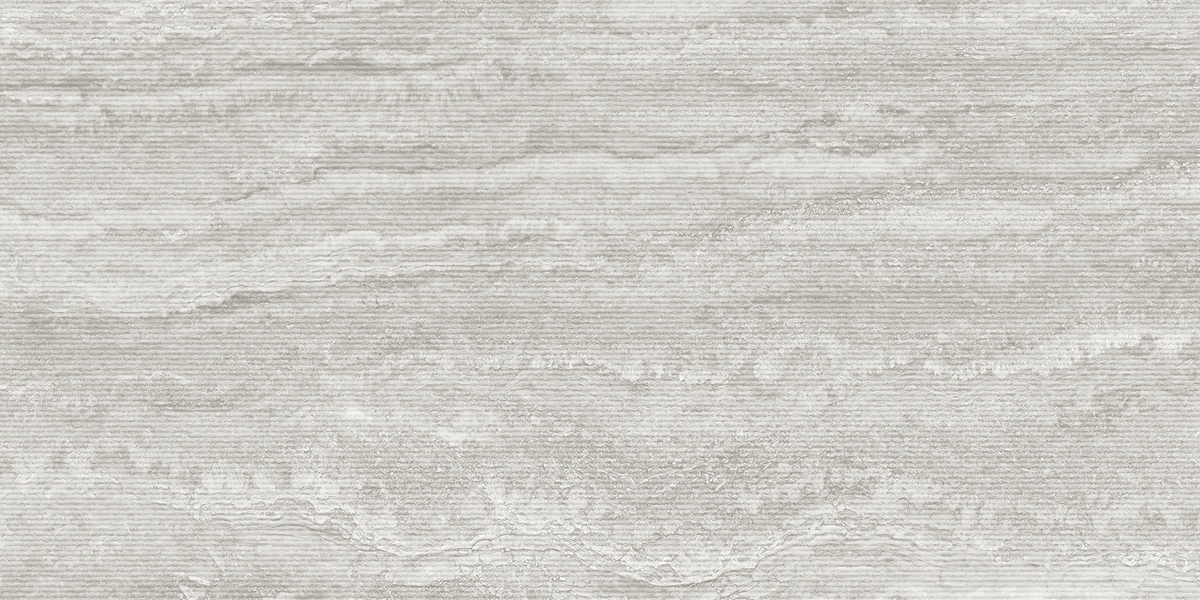 232480 Lugano Decor Silver Matt 60x120 ProConcept фото 2