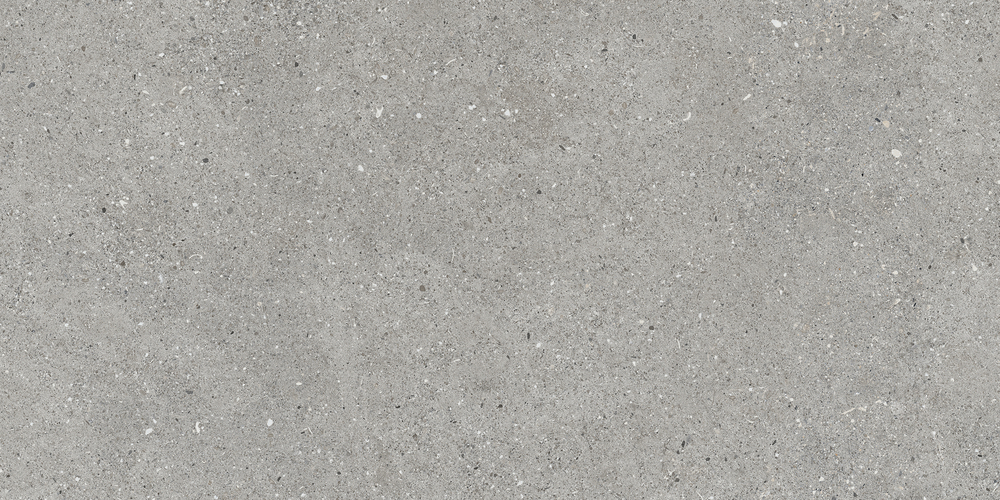 CP0L64M01 Ceppo Gris Carving 60x120 Duna