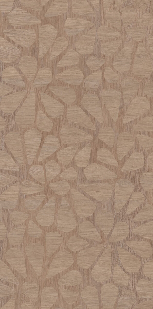 PF60021265 Decor Library Passage Cinnamon Nat Ret 60x120 ABK фото 3