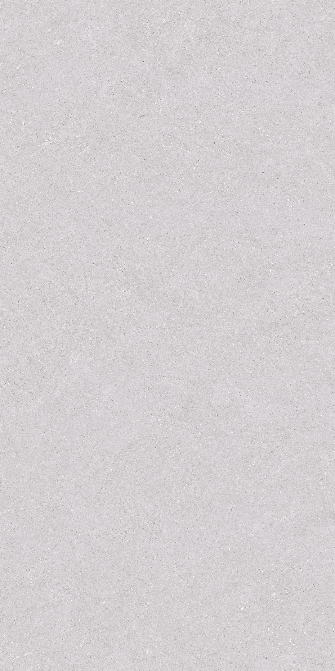 ZA-DJ12588 Glazed Карвинг 1200x600x9 Vizavi