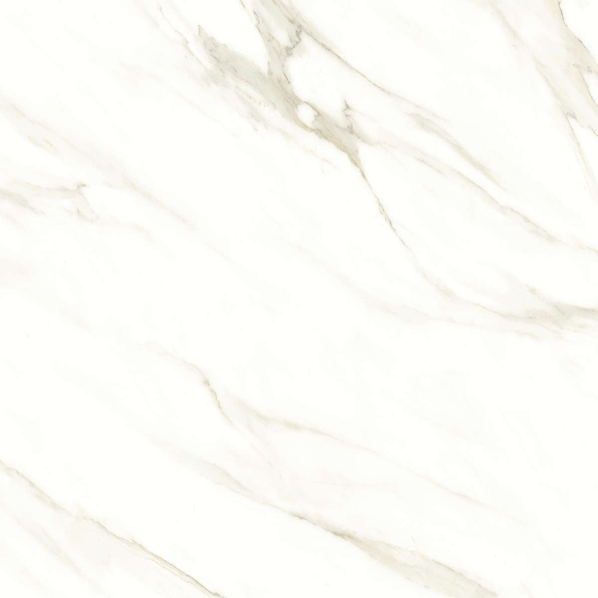 Cassini carrara PGVT 60x60 Casati Ceramica
