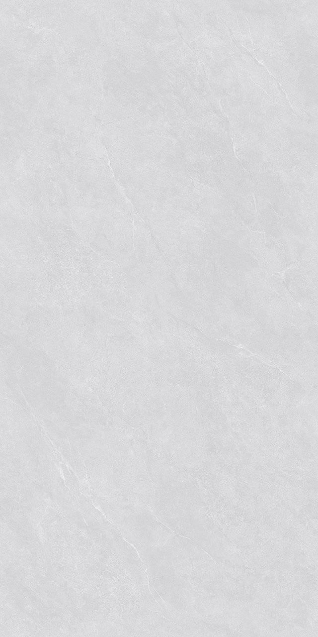 ZA-D12602 Glazed PR 1200x600x9 Vizavi фото 2
