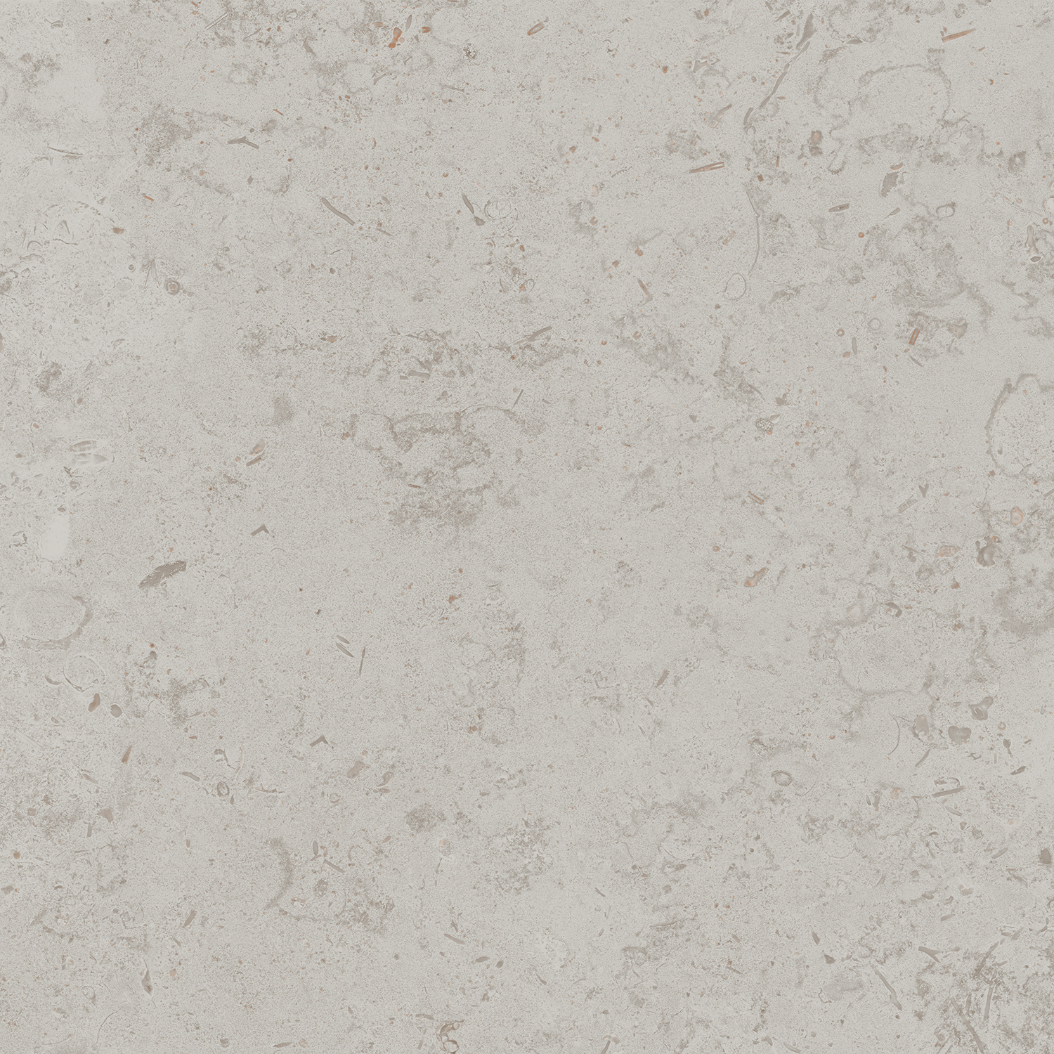DD641020R Про Лаймстоун серый светлый натуральный обрезной 60х60 Kerama Marazzi