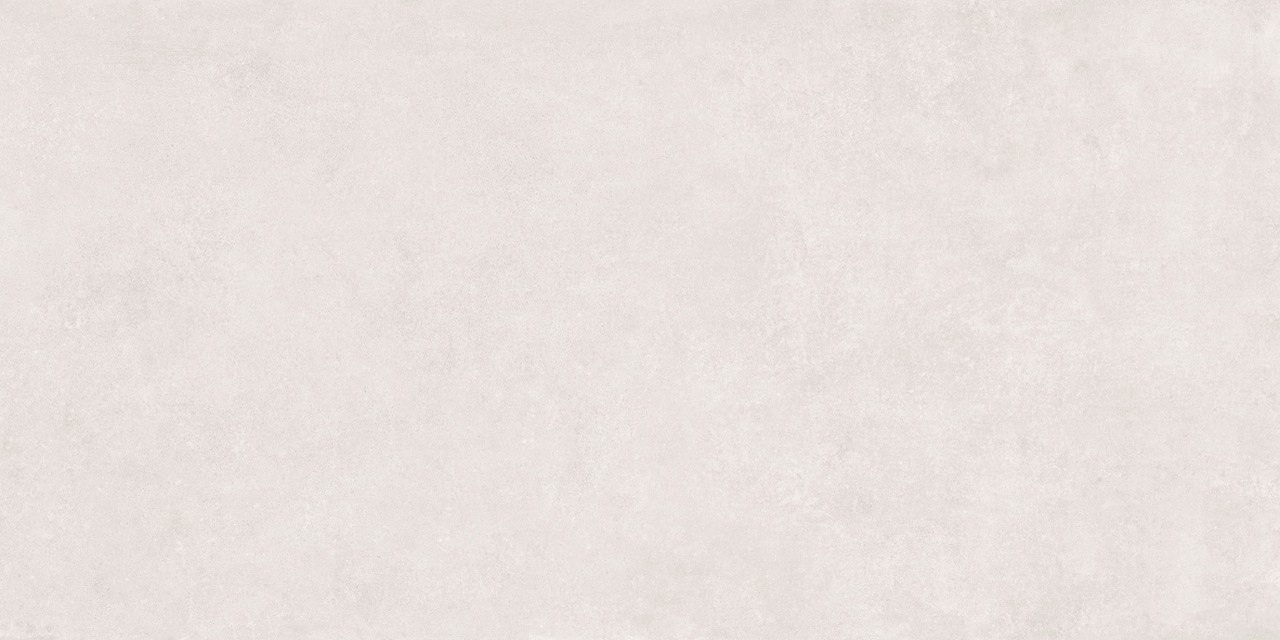 Charming Aria Punch+GHR 60x120 Duna фото 4