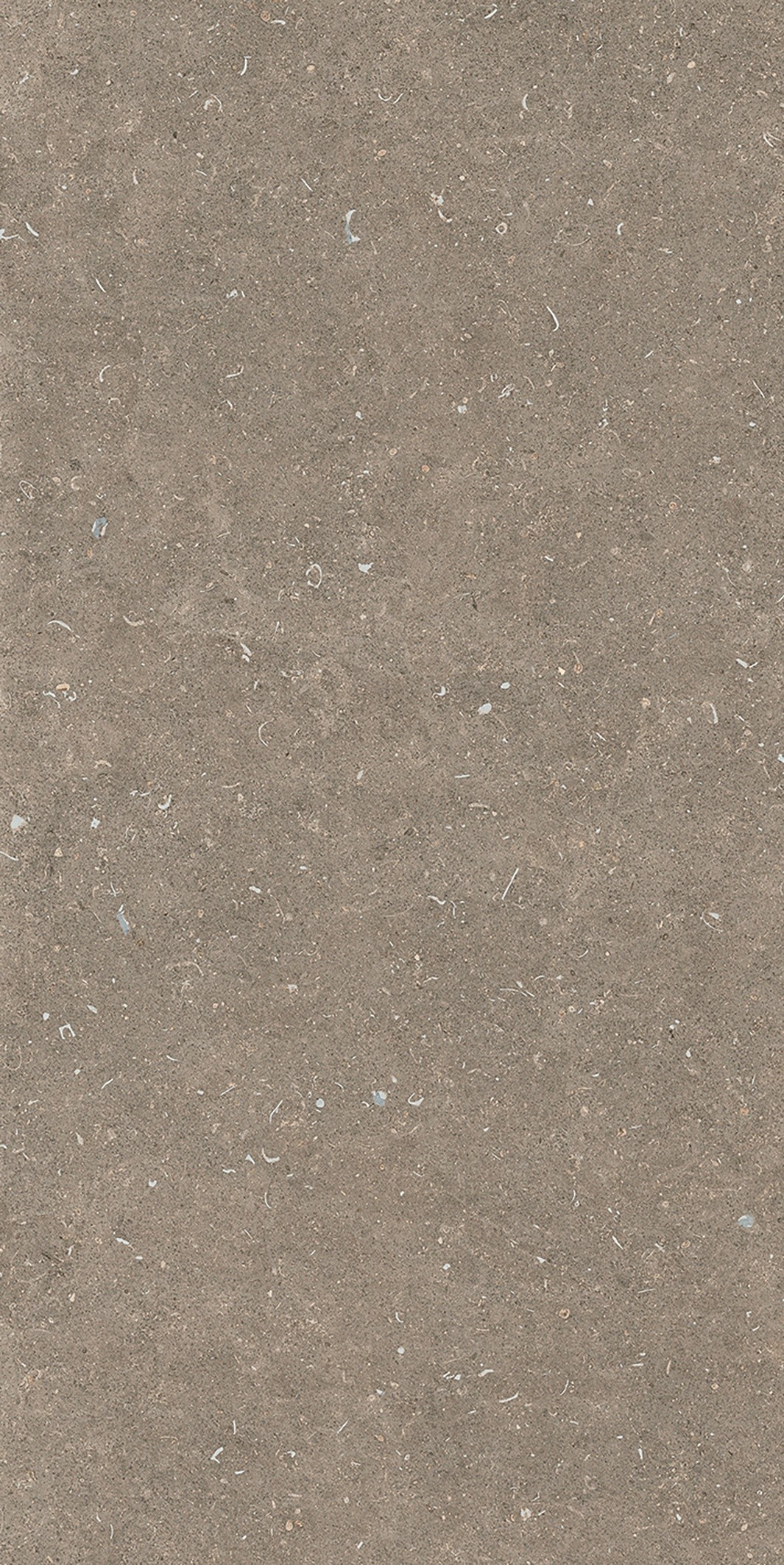 785576 Rinascenza Arena Pietra Matte 6mm 60x120 Casa Dolce Casa фото 2