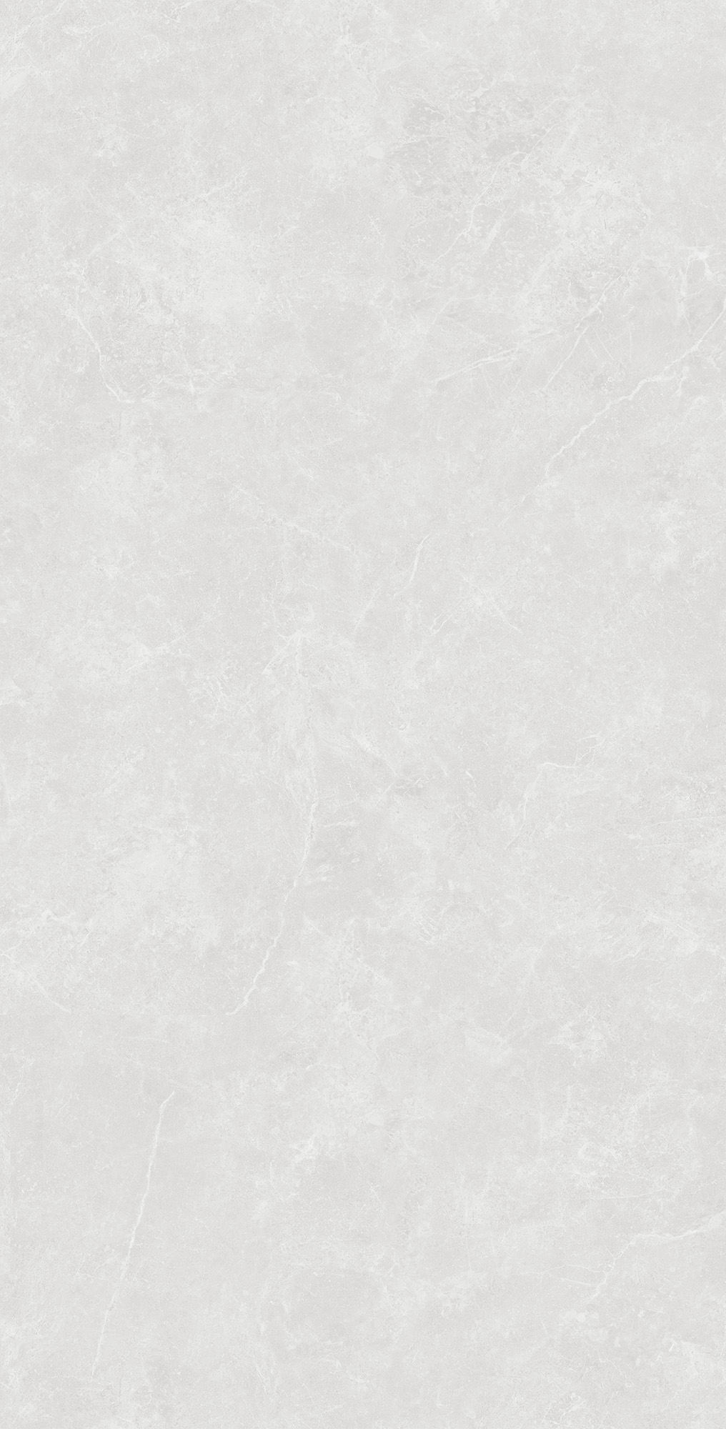 SL1003-A Oviedo Silver Solido 60x120 Creanza