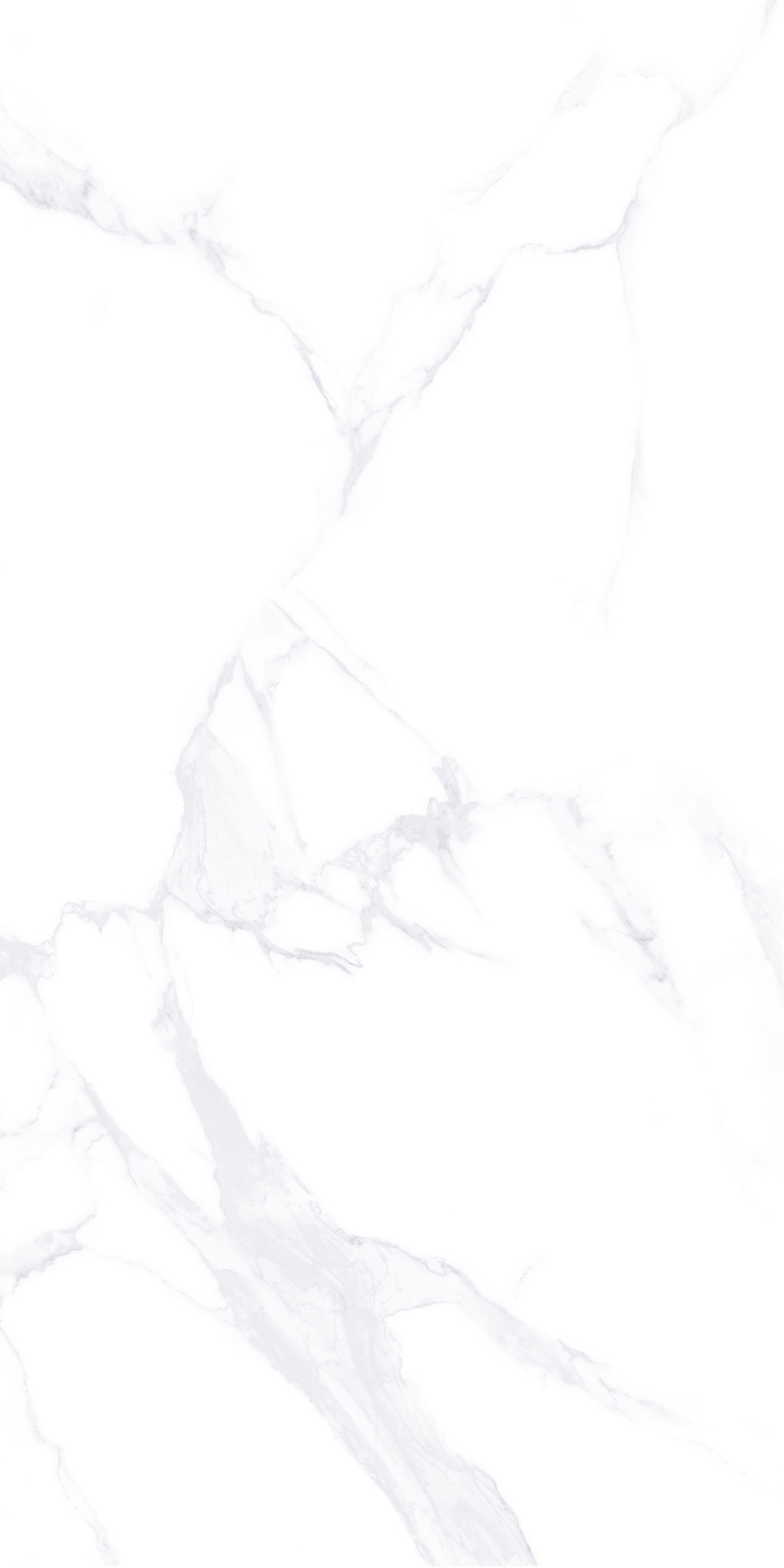ZA-L12605 Lande PR 1200x600x9 Vizavi фото 2