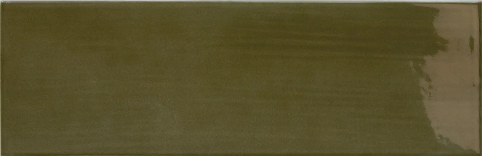 31195 Island Lichen 6,5x20 EQUIPE
