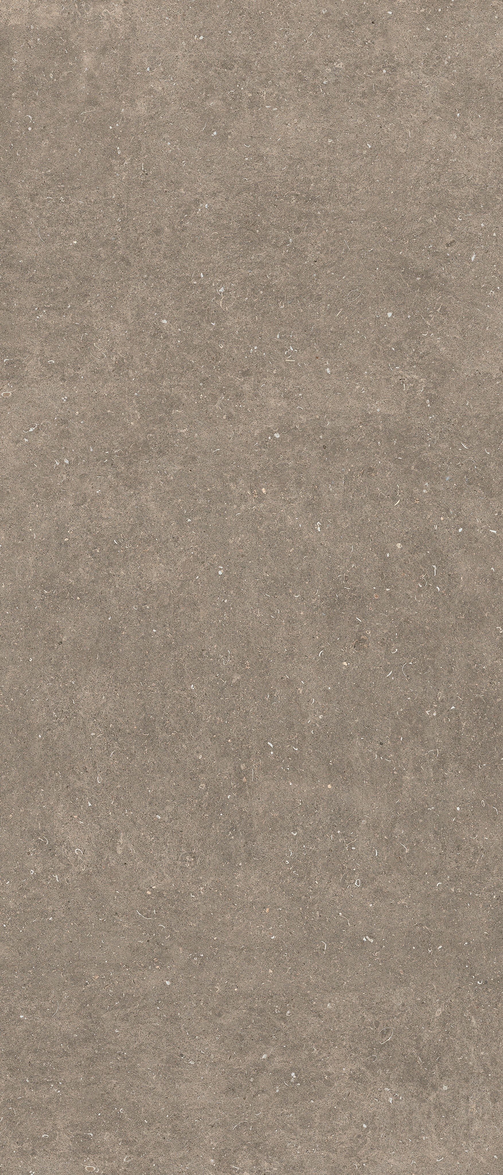 785572 Rinascenza Arena Pietra Matte 6mm 120x280 Casa Dolce Casa фото 3