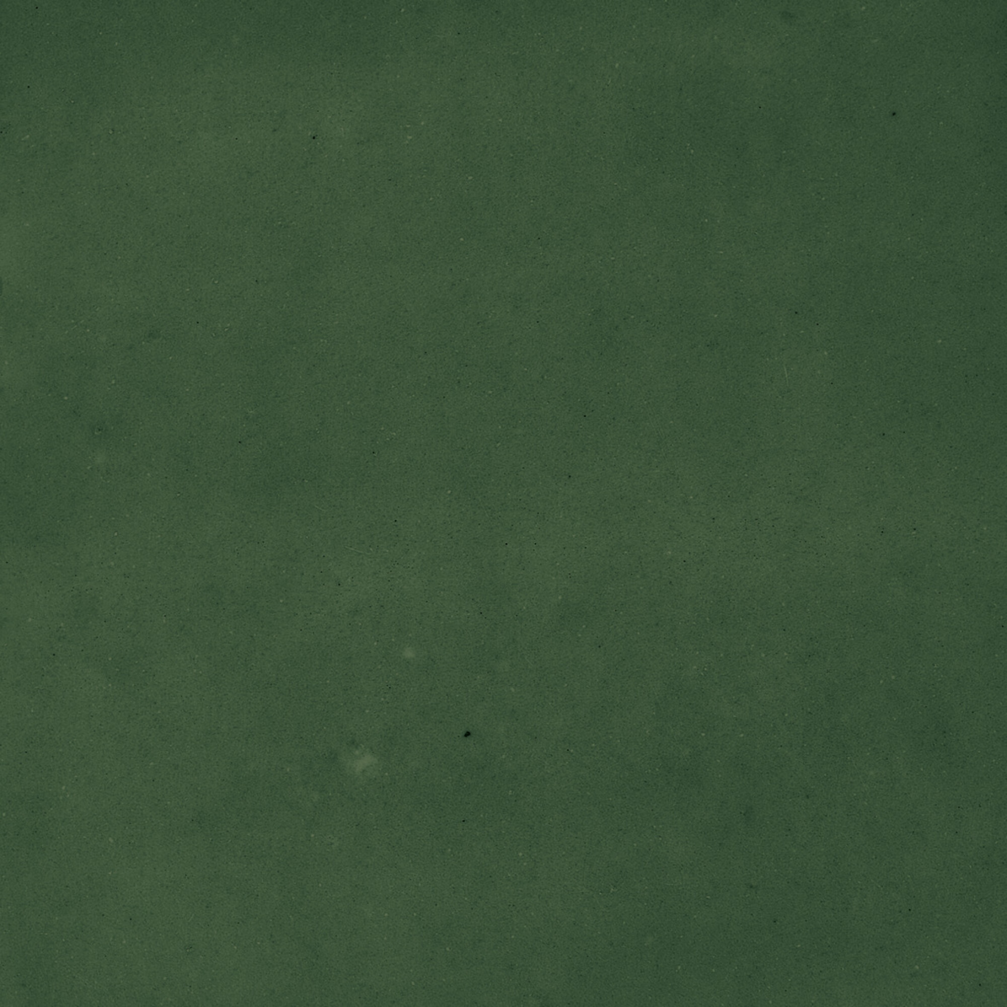 43289 Samira Green 10x10 Harmony фото 31