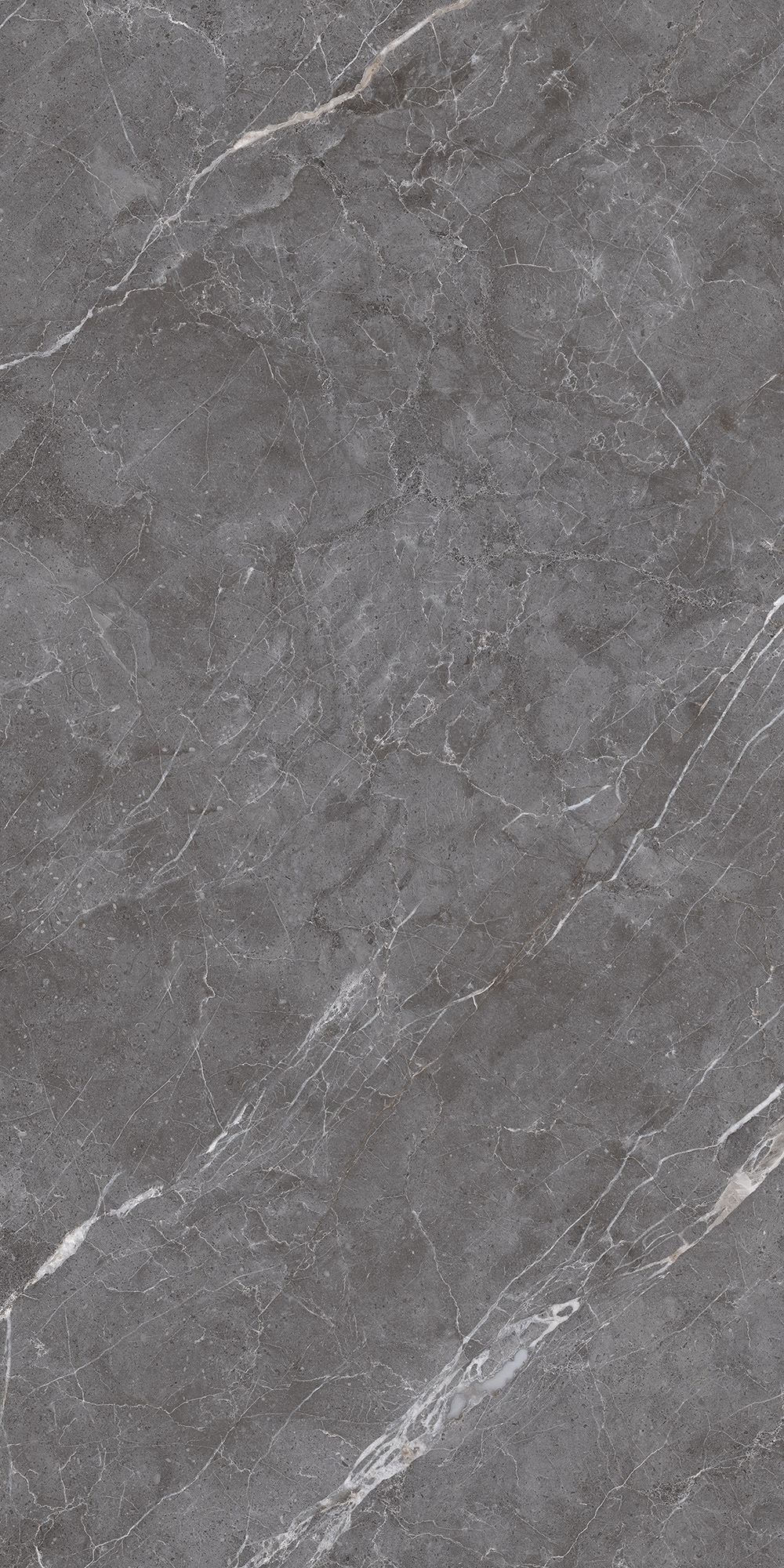 CL4003-A Esperia Grigio Carving Lappato 60x120 Arcadia Ceramica