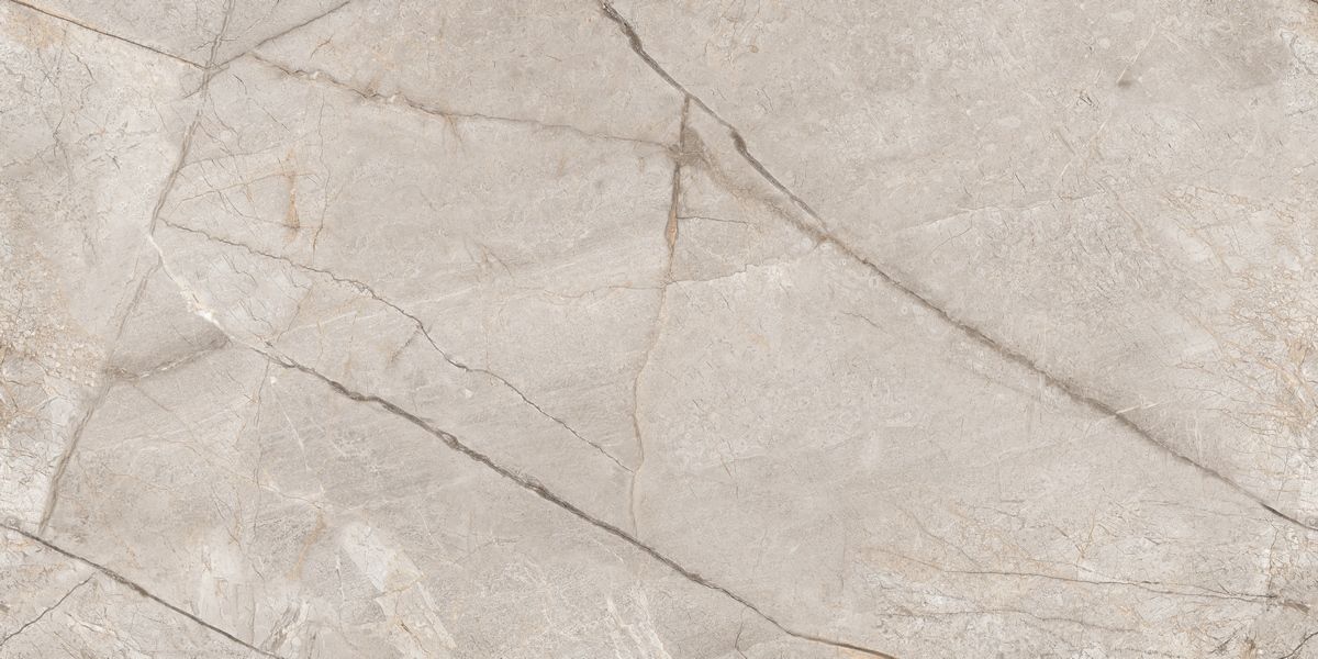 N80016 Silver Stone Carving 60x120 Neodom