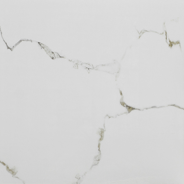 2011 Carrara Polished 60*60 Tile Kraft