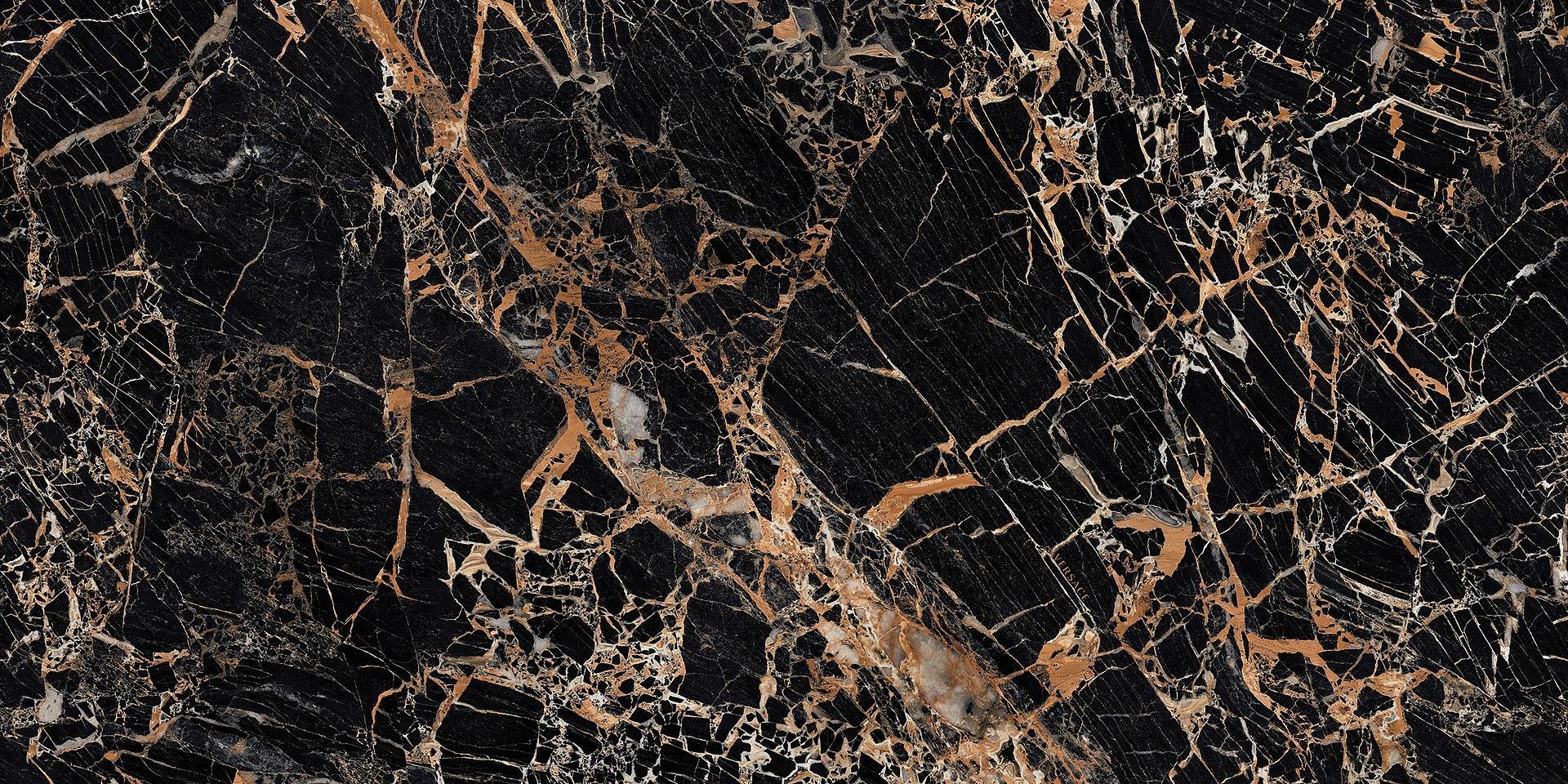 G67584 Black & Gold Lux R 60x120 Versace (Gardenia Orchidea) фото 2