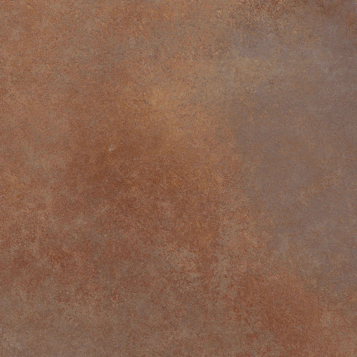 Enrich Brown Rustin 20mm 60x60 Alpas Euro