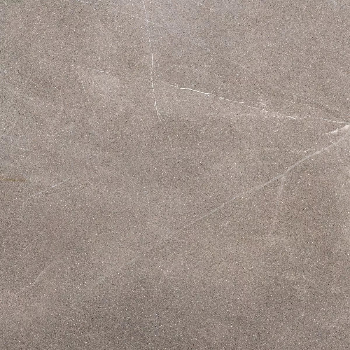 Pulpis Light Grey 60x60 Prime Ceramics