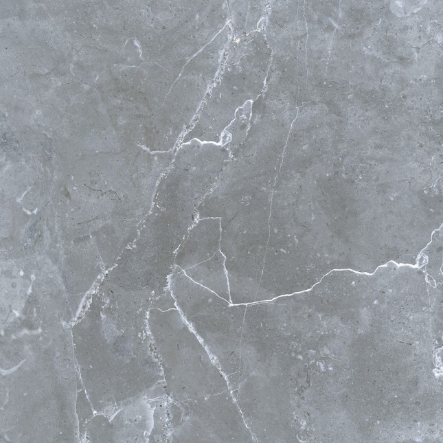 GRS02-16 Petra Northern Silver 60x60 Gresse
