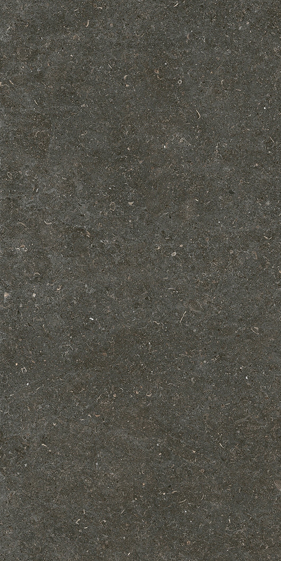 785577 Rinascenza Arena Platino Matte 6mm 60x120 Casa Dolce Casa фото 2